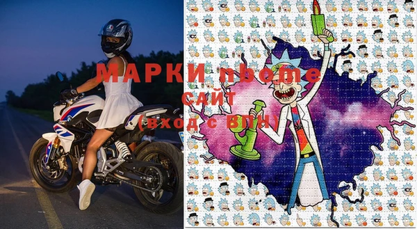 эйфоретик Алзамай